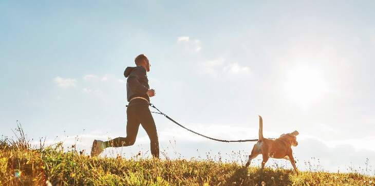 Best trail running clearance dogs