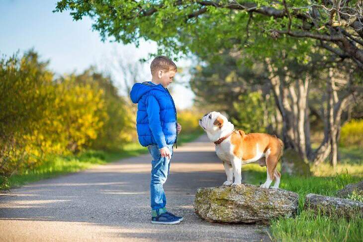 boy and bulldog