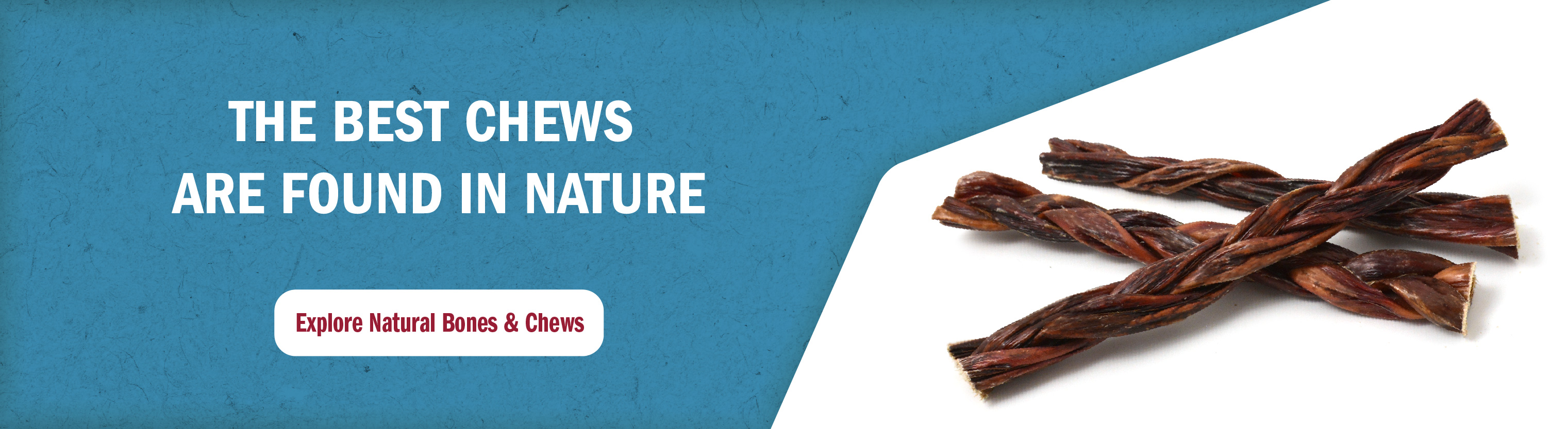 Explore natural bones & chews