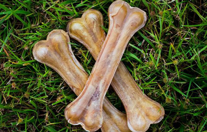 Beef Hide Vs. Rawhide Vs. Pork Hide