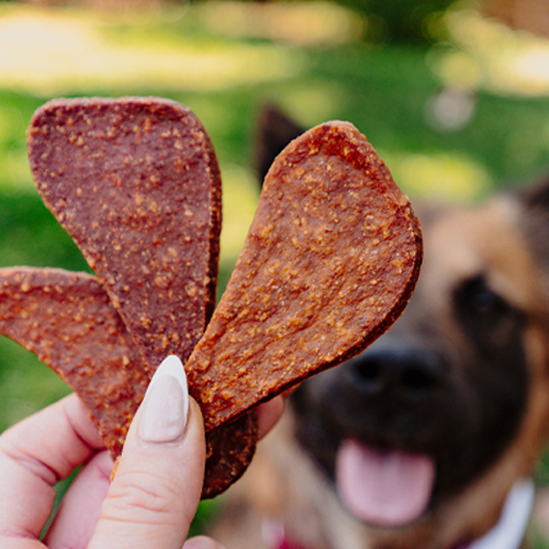 Treats being held while dogs wait.