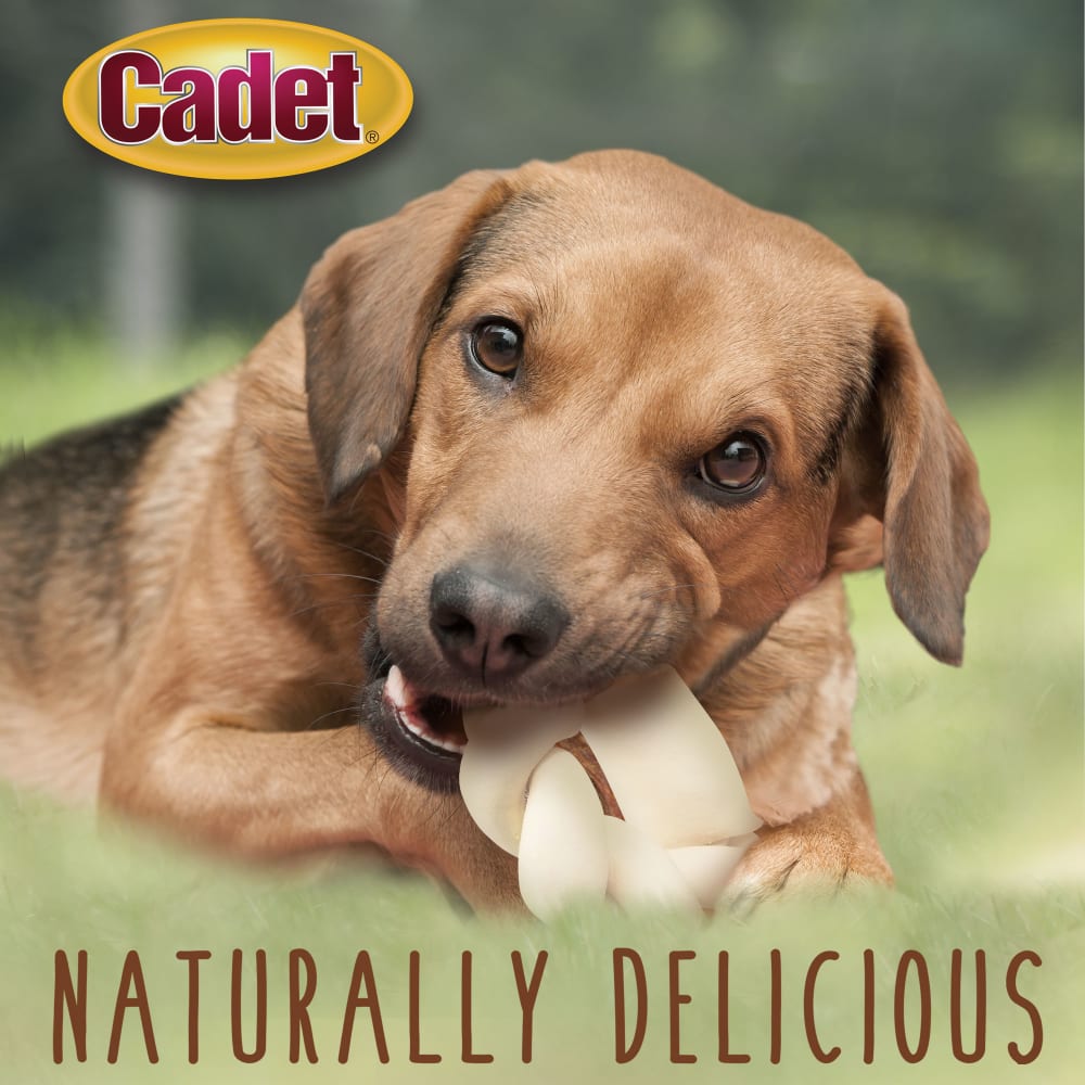 Lifestyle image of Ims 5in Braided Rawhide Donut
