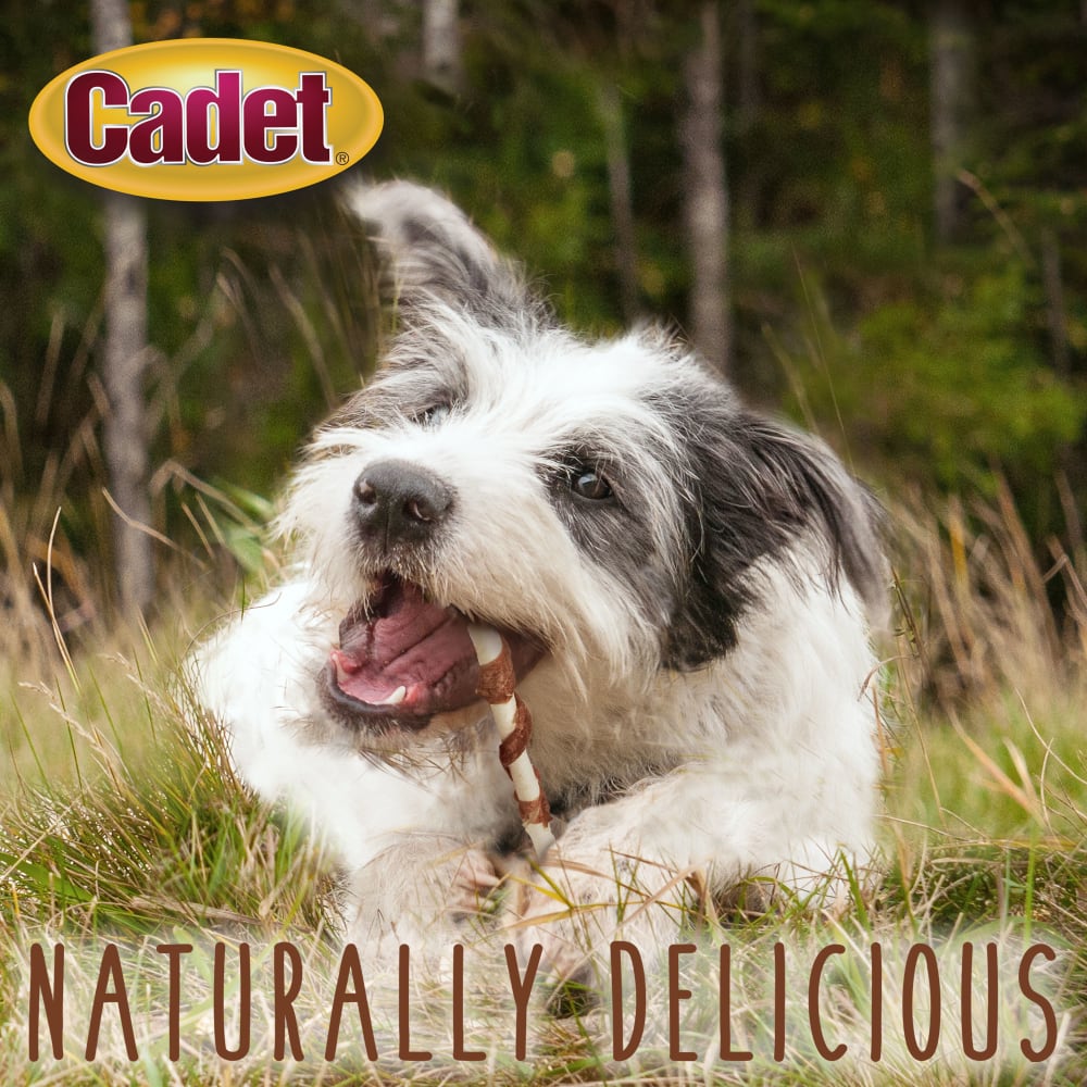 Dog with Ims Beef Hide Duck Twists 14pc